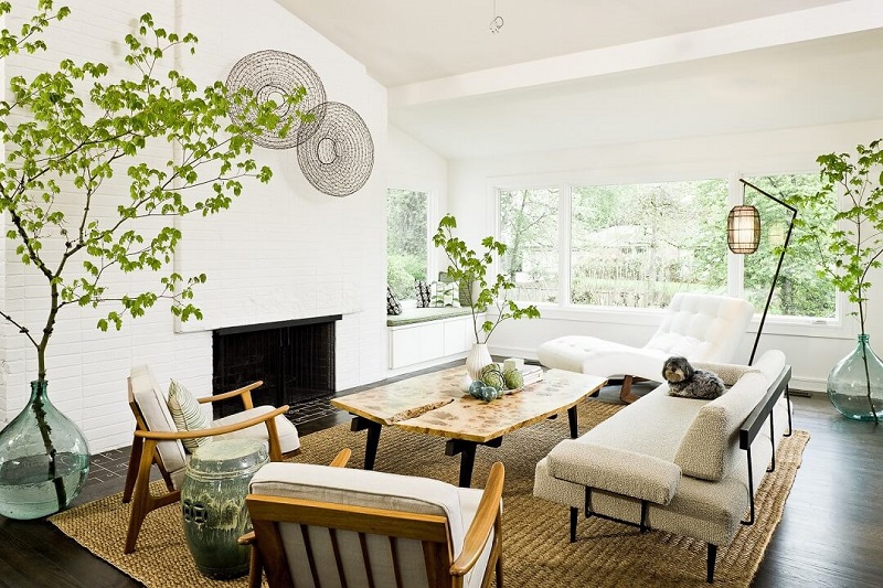 Cách trang trí cây cảnh trong phòng khách giúp căn nhà của bạn thêm ấn tượng
