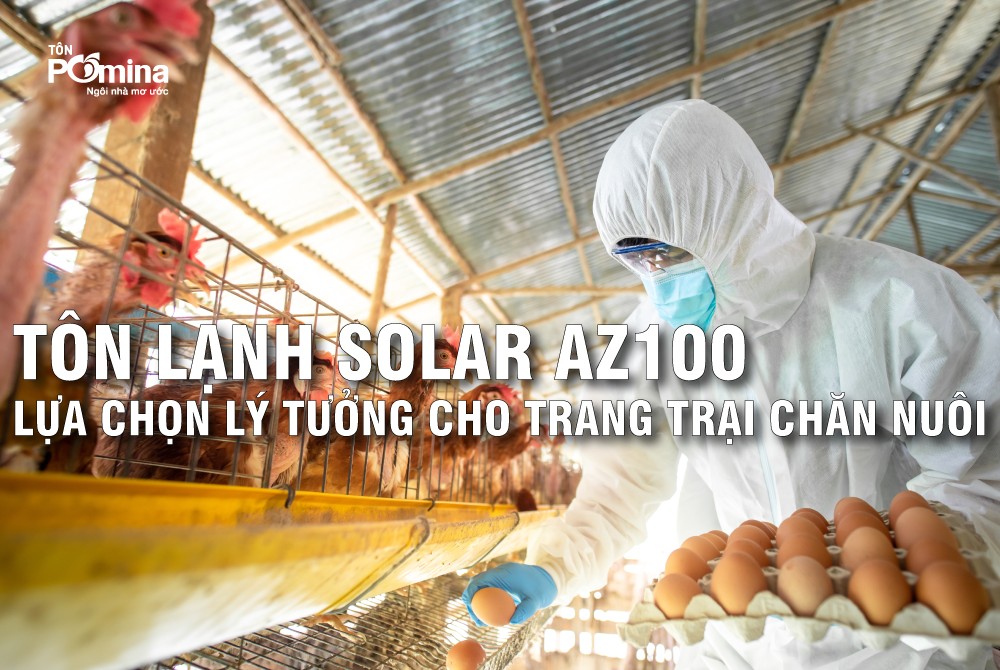 Tôn lạnh Solar AZ100: Lựa chọn lý tưởng cho trang trại chăn nuôi