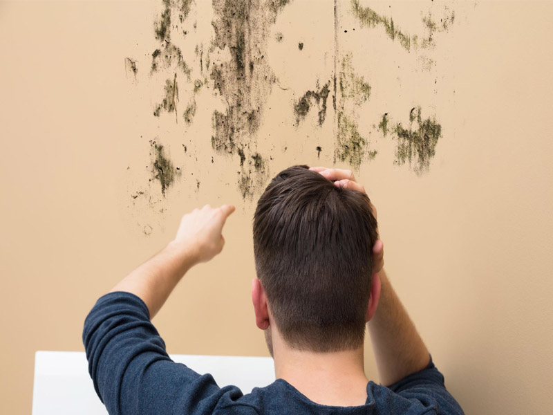 Tác hại và cách xử lý tường nhà bị ẩm mốc