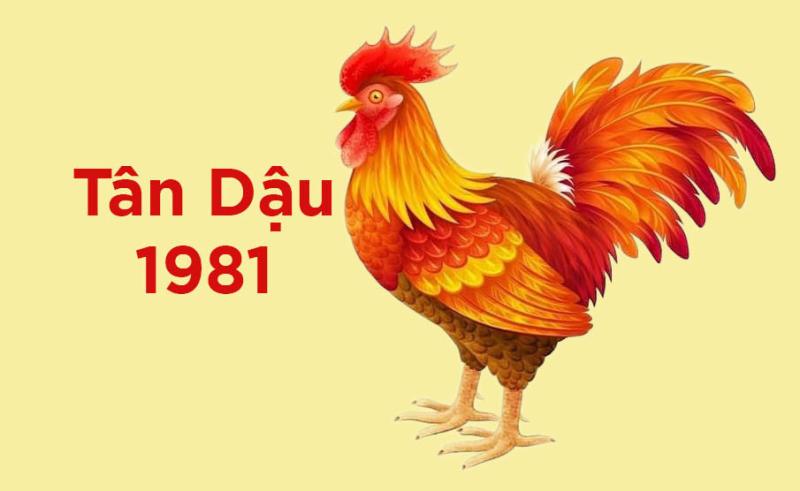 Tuổi 1981 làm nhà năm 2025