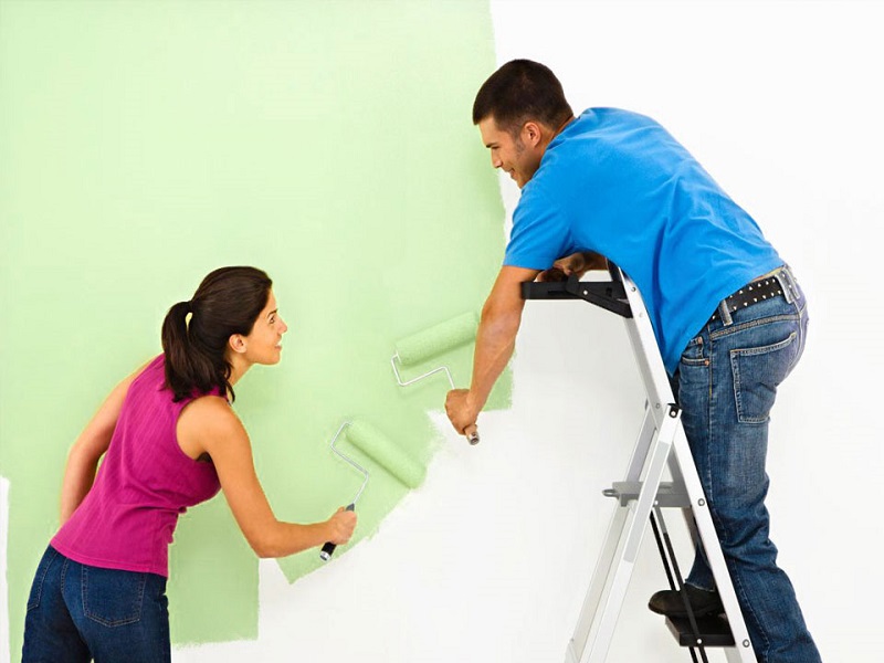 vợ chồng tuổi hợi sơn nhà màu gì