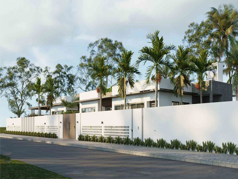 cách bố trí cây cảnh trước nhà