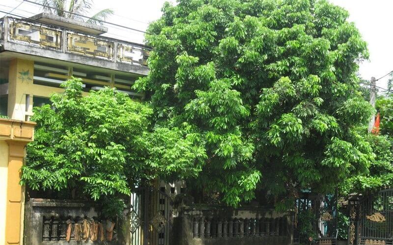 những điều kiêng kỵ trong phong thủy nhà ở