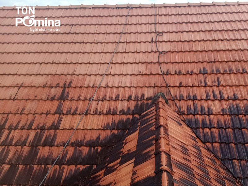 mái ngói truyền thống