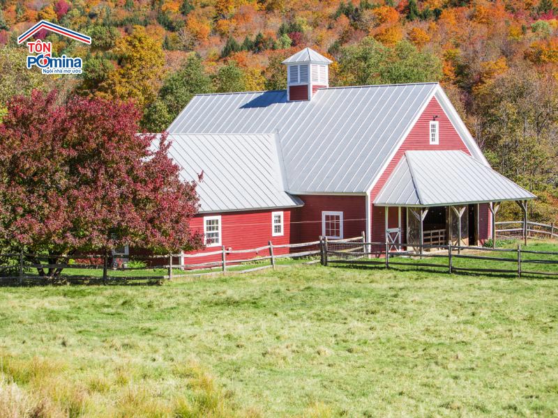 cách chống nóng cho nhà cấp 4 mái tôn