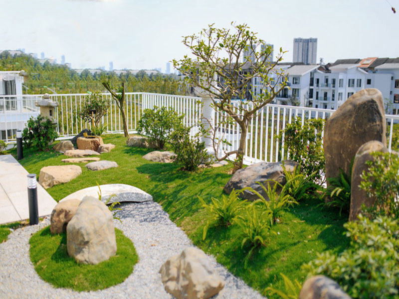 trồng cây sau nhà hợp phong thủy