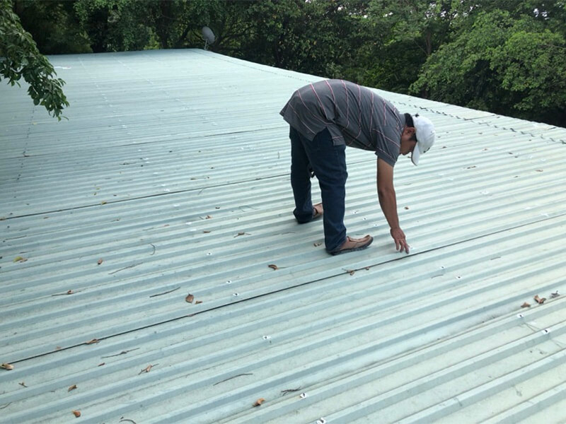 nhà mái tôn bị dột