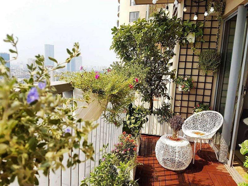 trang trí ban công bằng cây xanh