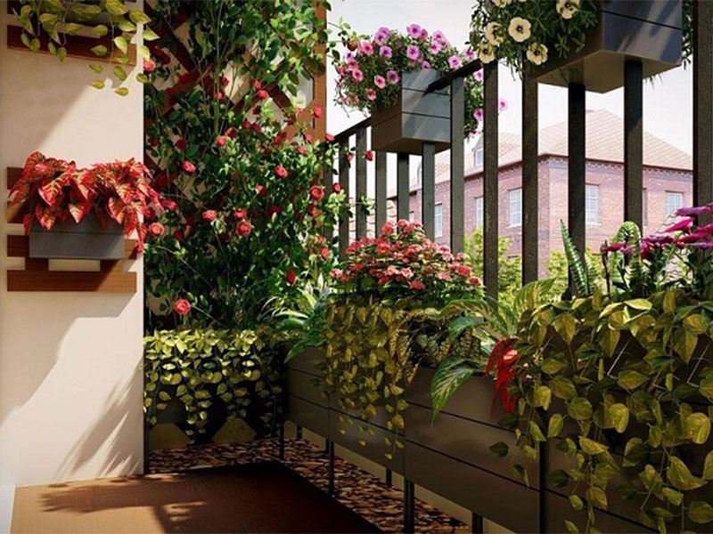 trang trí ban công bằng cây xanh