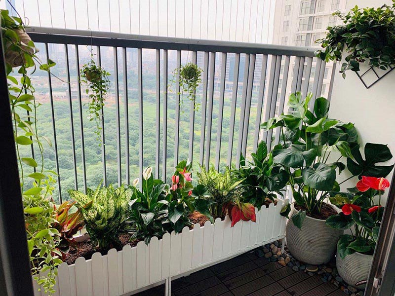 trang trí ban công bằng cây xanh