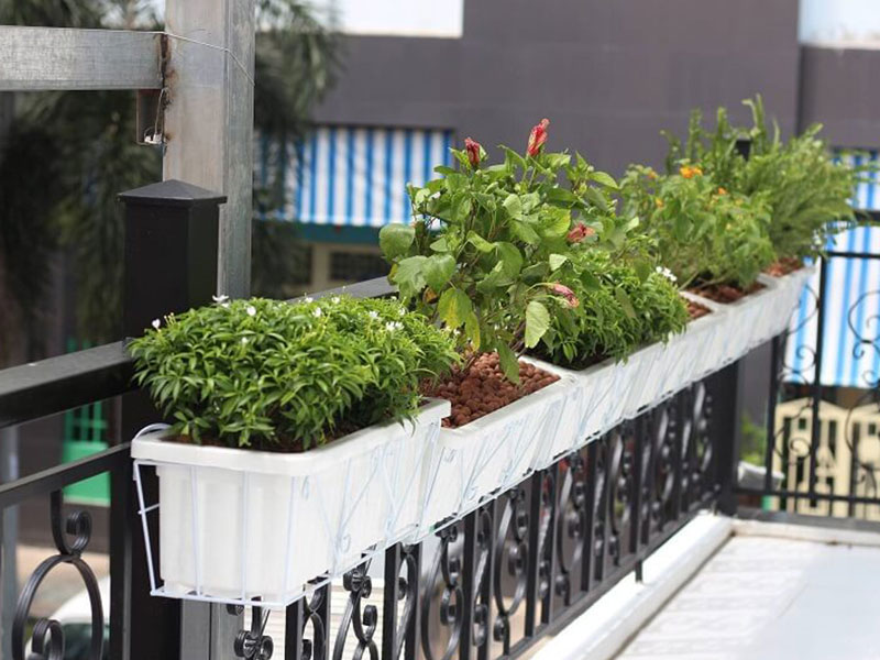 trang trí ban công bằng cây xanh