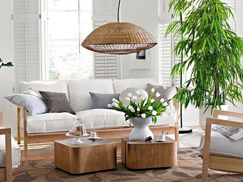 trang trí cây cảnh trong phòng khách