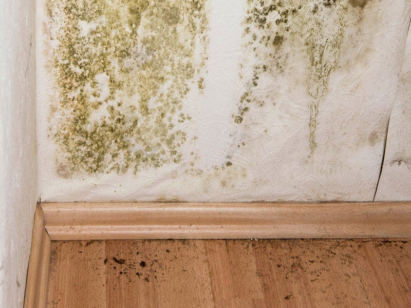 xử lý tường nhà bị ẩm mốc