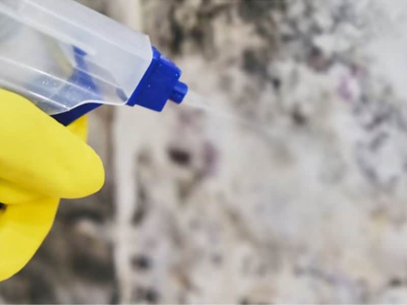 xử lý tường nhà bị ẩm mốc