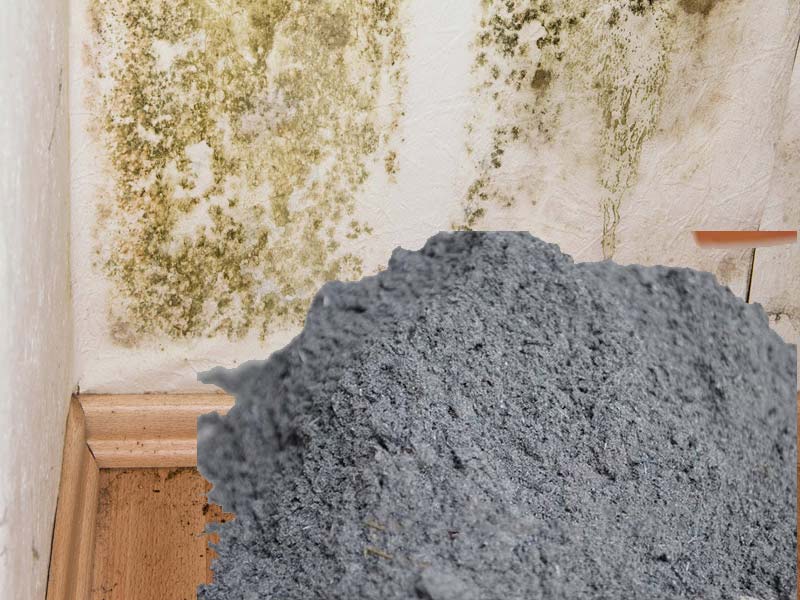 xử lý tường nhà bị ẩm mốc